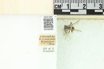 Media type: image;   Entomology 769281 Aspect: Labels
